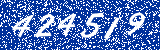 Capcha image
