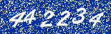 Capcha image